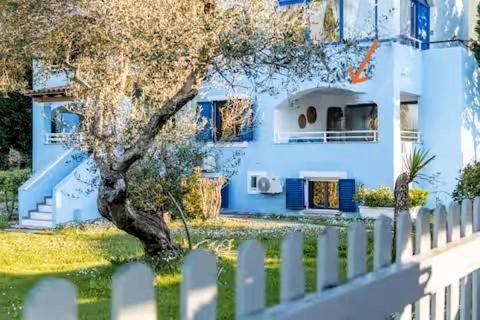 Blue & White Velvet 20m From The Danilia